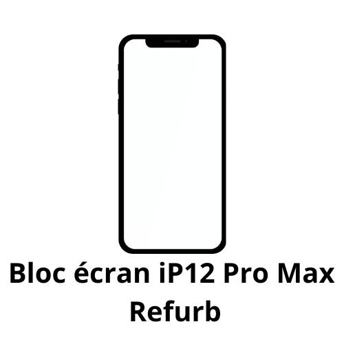 Bloc écran iPhone 12 Pro Max