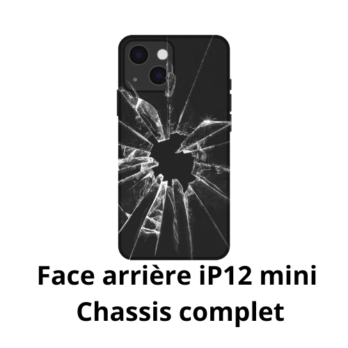 Face arrière iPhone 12 mini