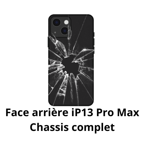 Face arrière iPhone 13 Pro Max