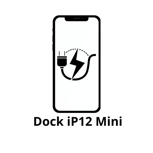 Connecteur de charge iPhone 12 mini